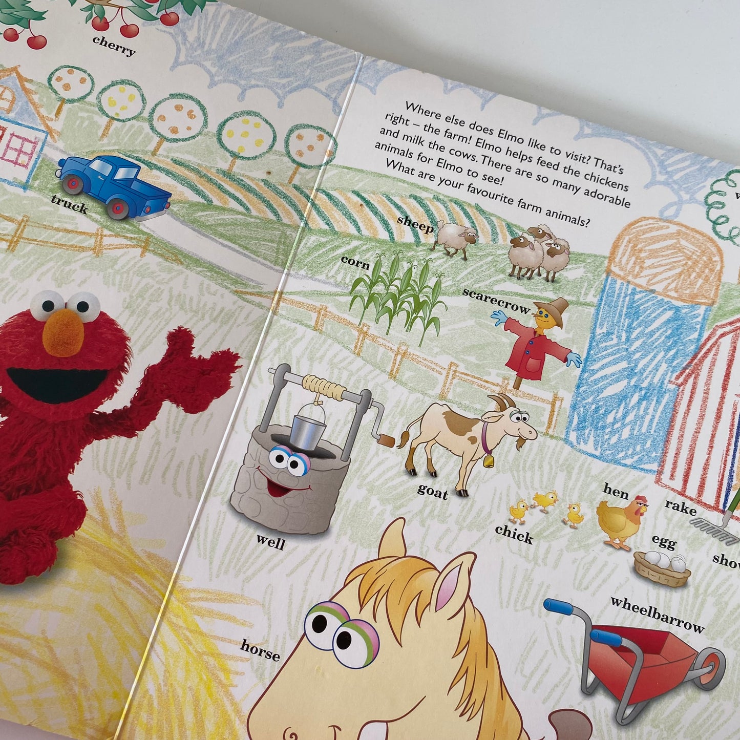 Book - Elmo’s Big World Book