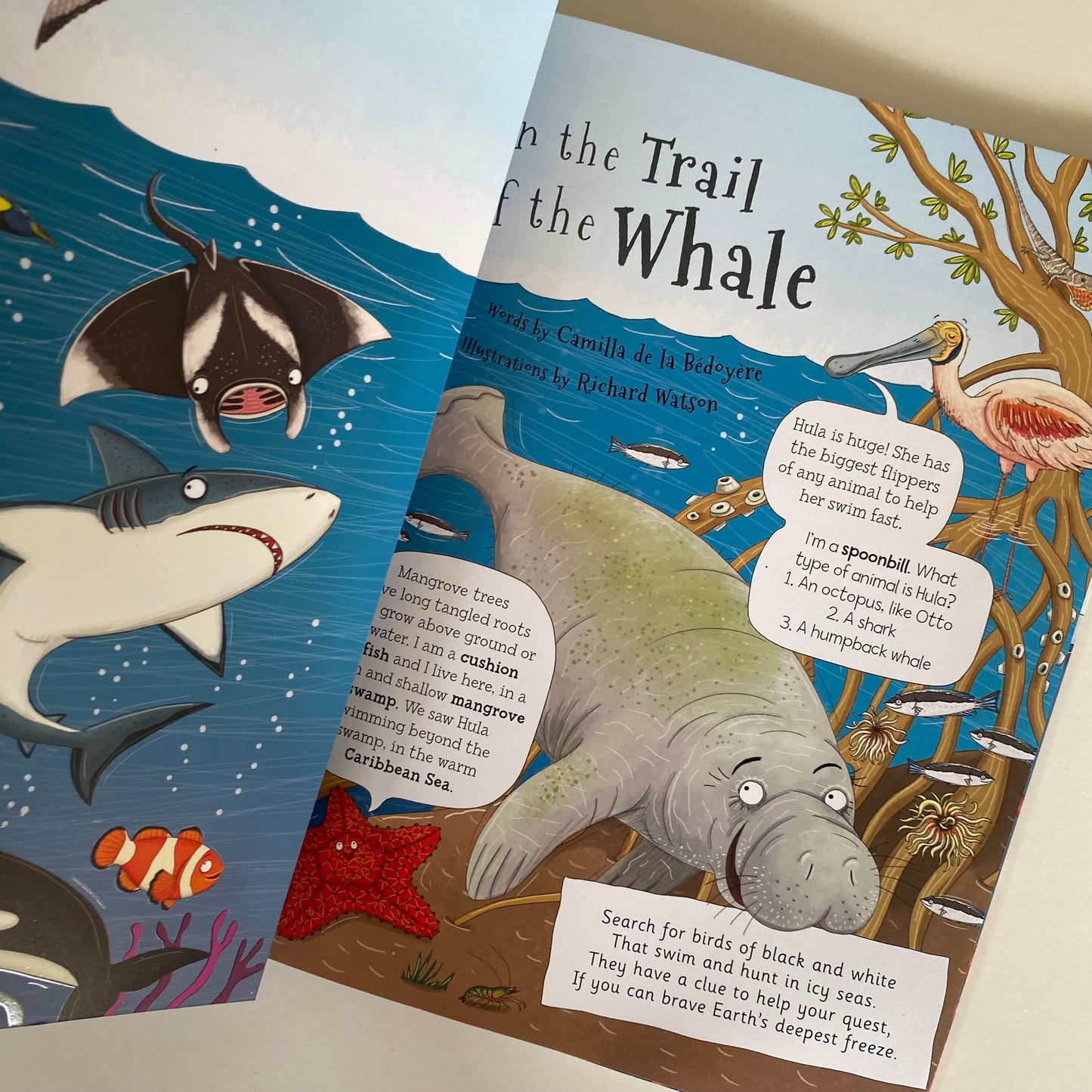 Book - On The Trail Of The Whale