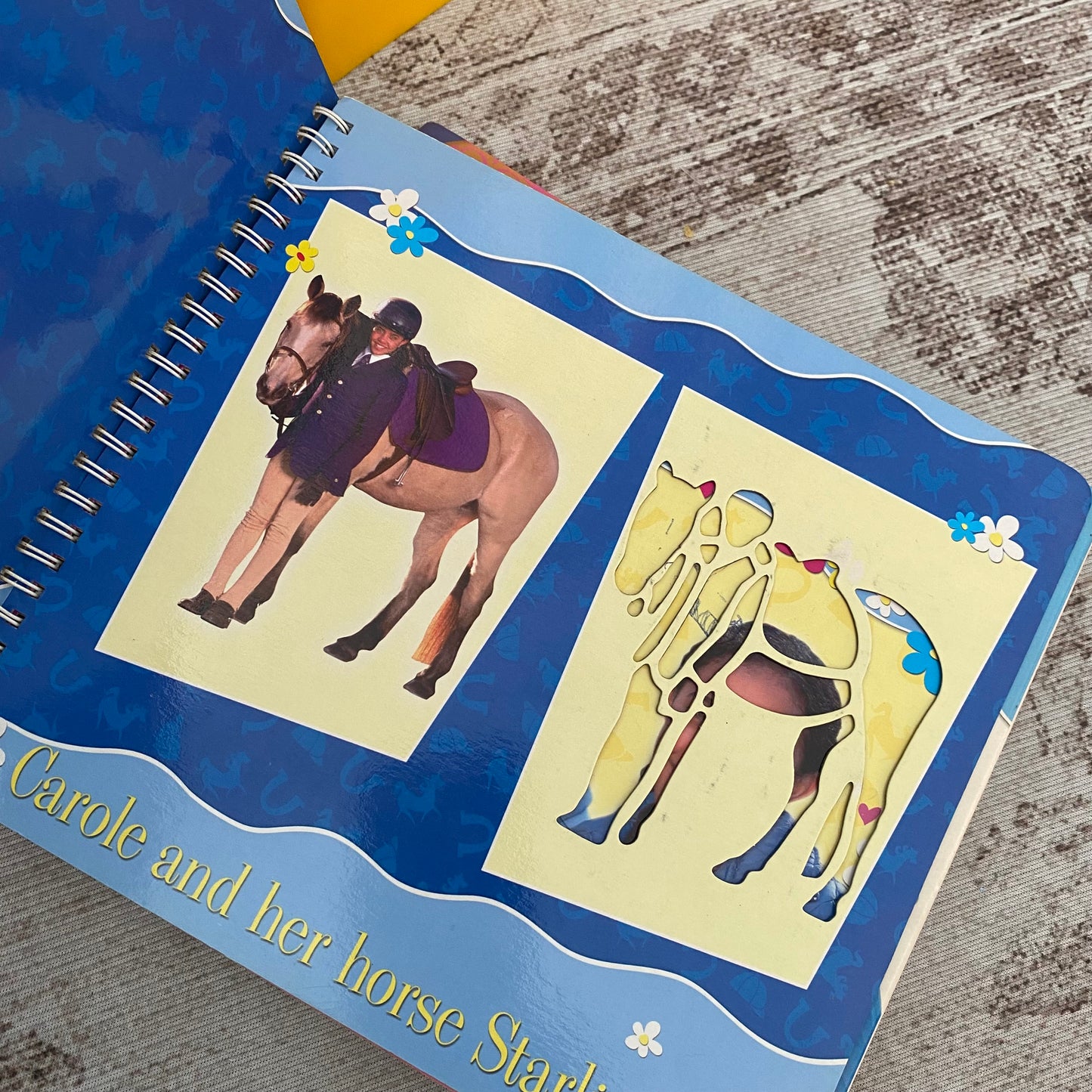 The Saddle Club Stencilling Book