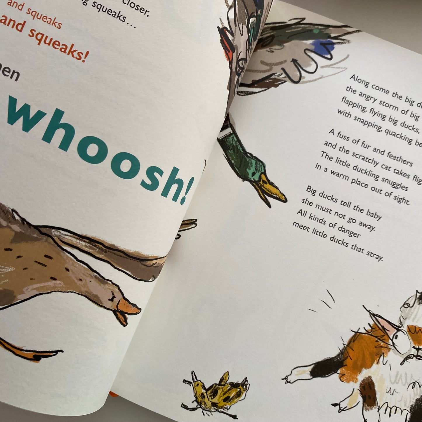 Joy Cowley The Gobble Degook Book