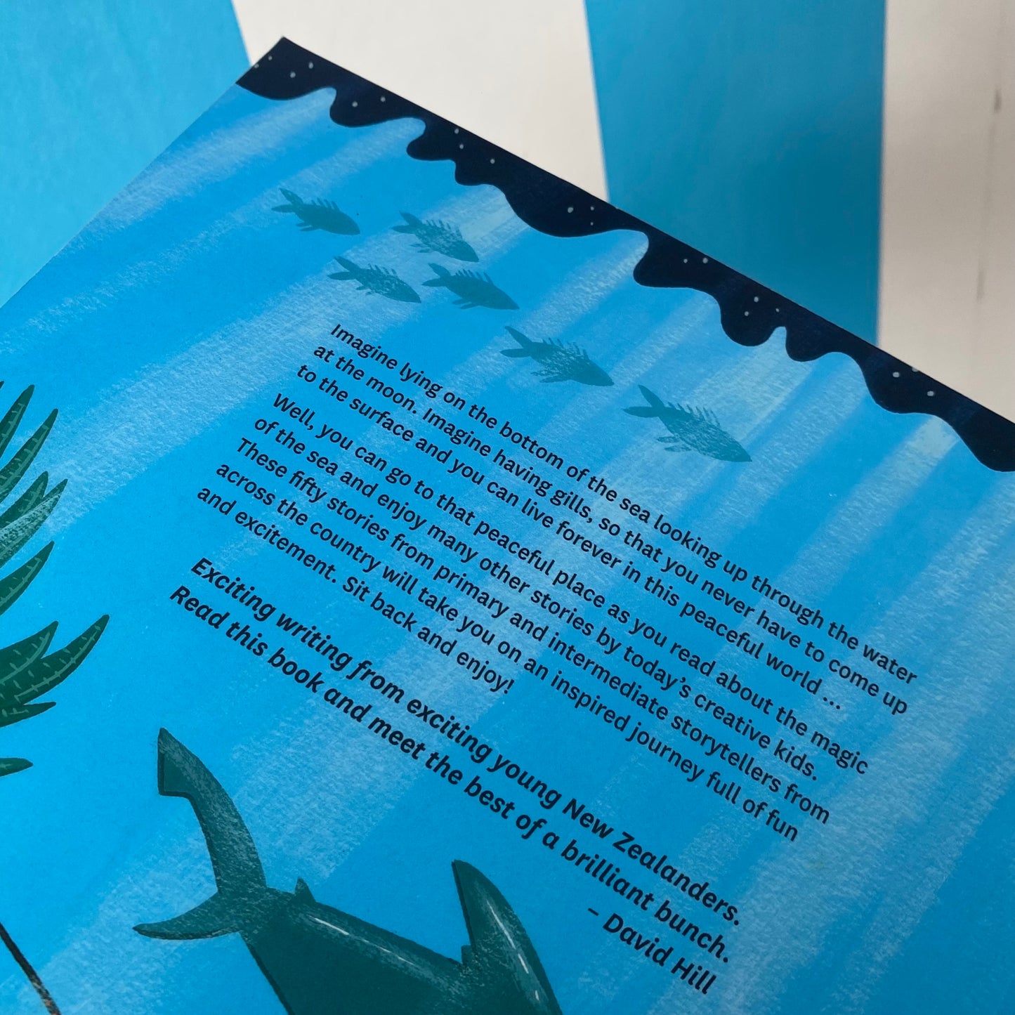 Submerged Magical Tales By Kiwi Kids Book