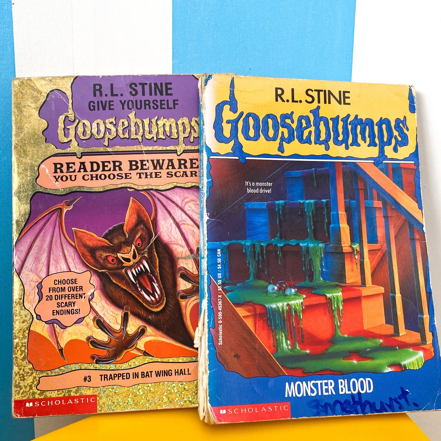 Goosebumps Chapter Book Bundle (FLAWS)