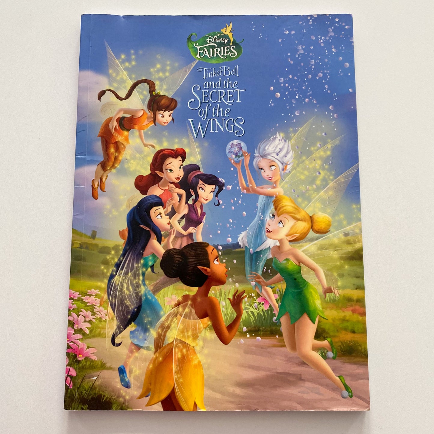 Disney Fairies Tinkerbell & The Secret Of The Wings Book