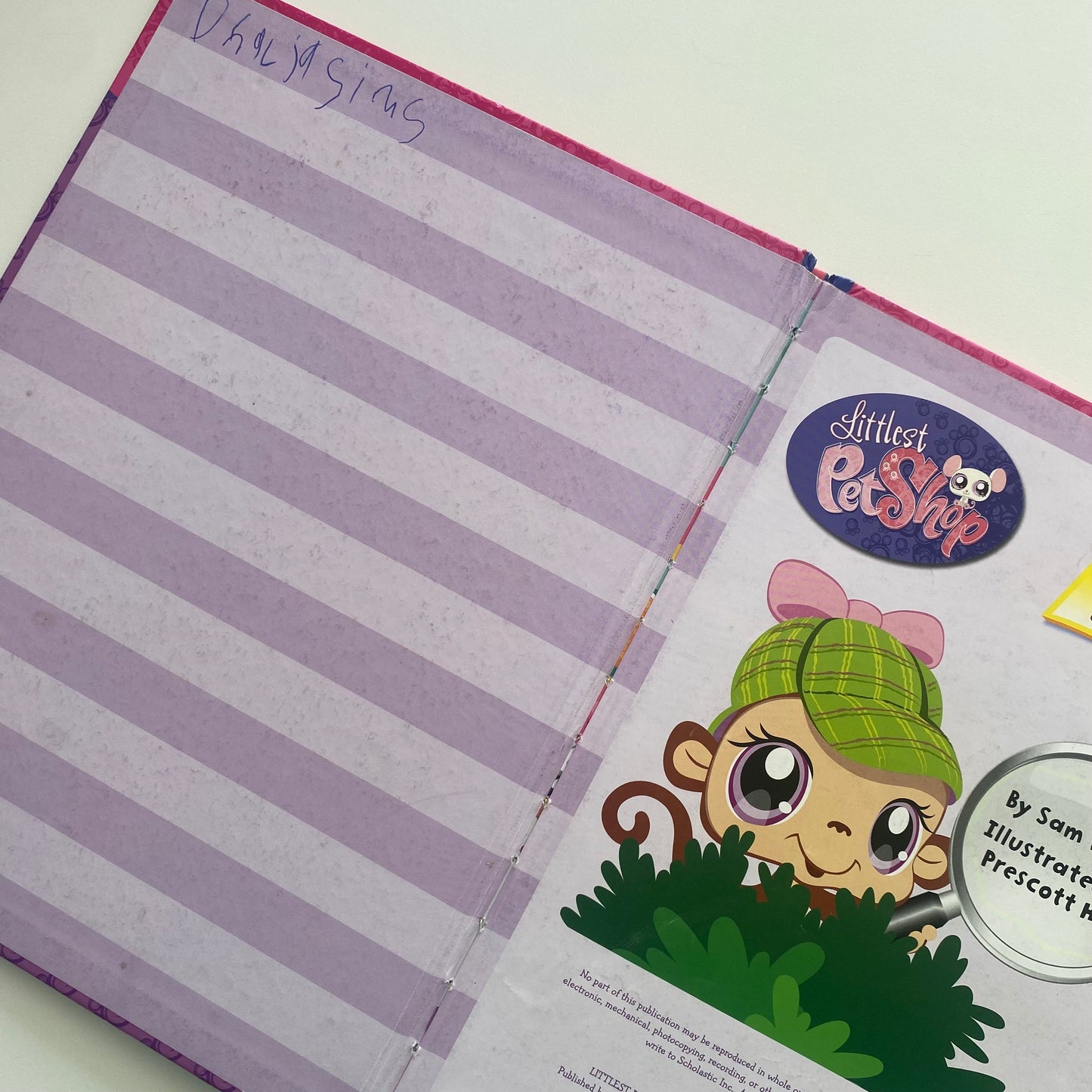 Littlest Pet Shop Look & Find Book