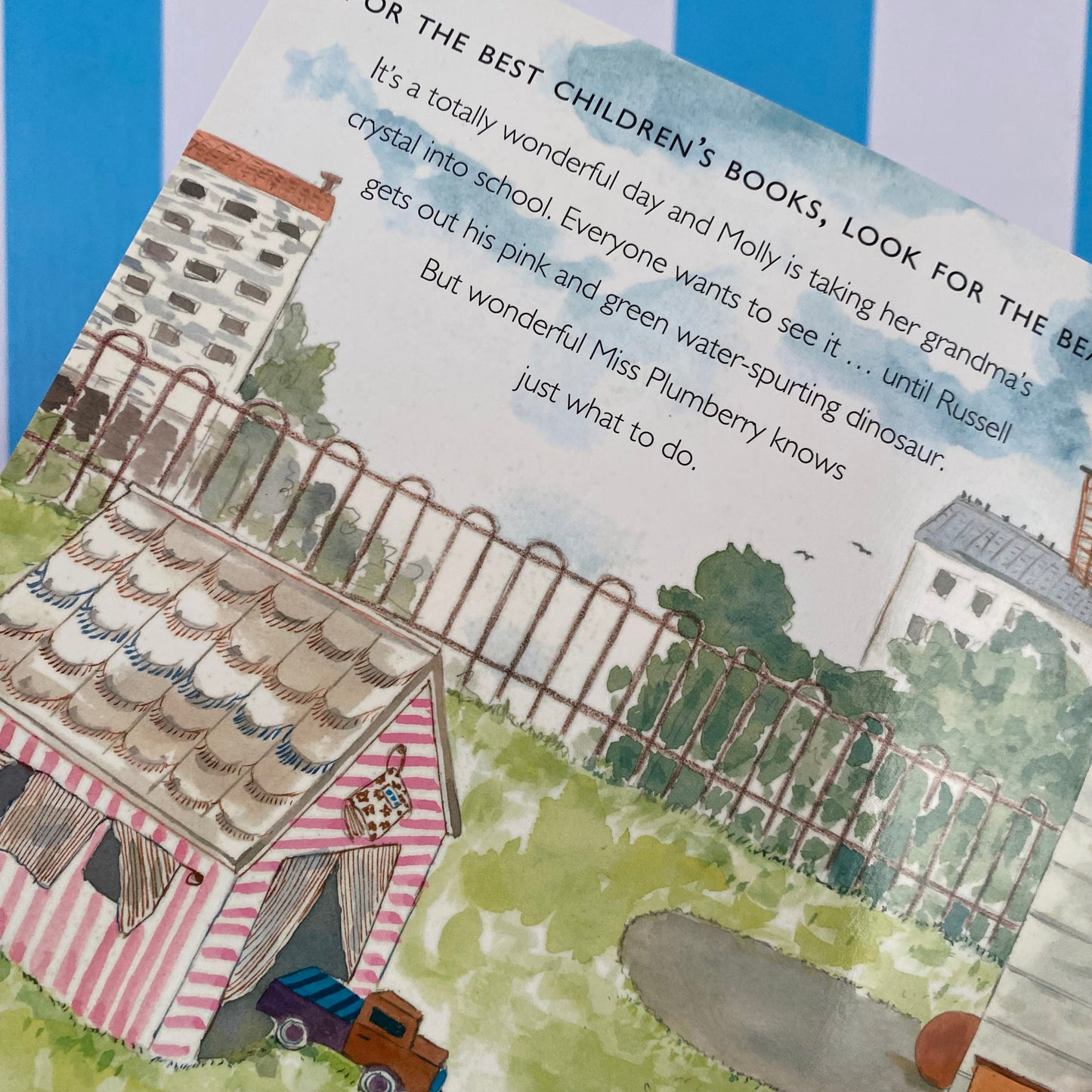 Totally Wonderful Miss Plumberry Book