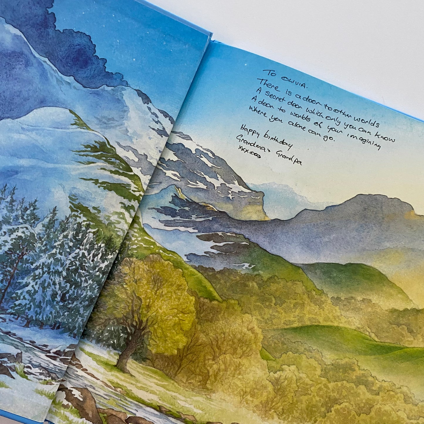 Narnia The Lion, The Witch & The Wardrobe Book