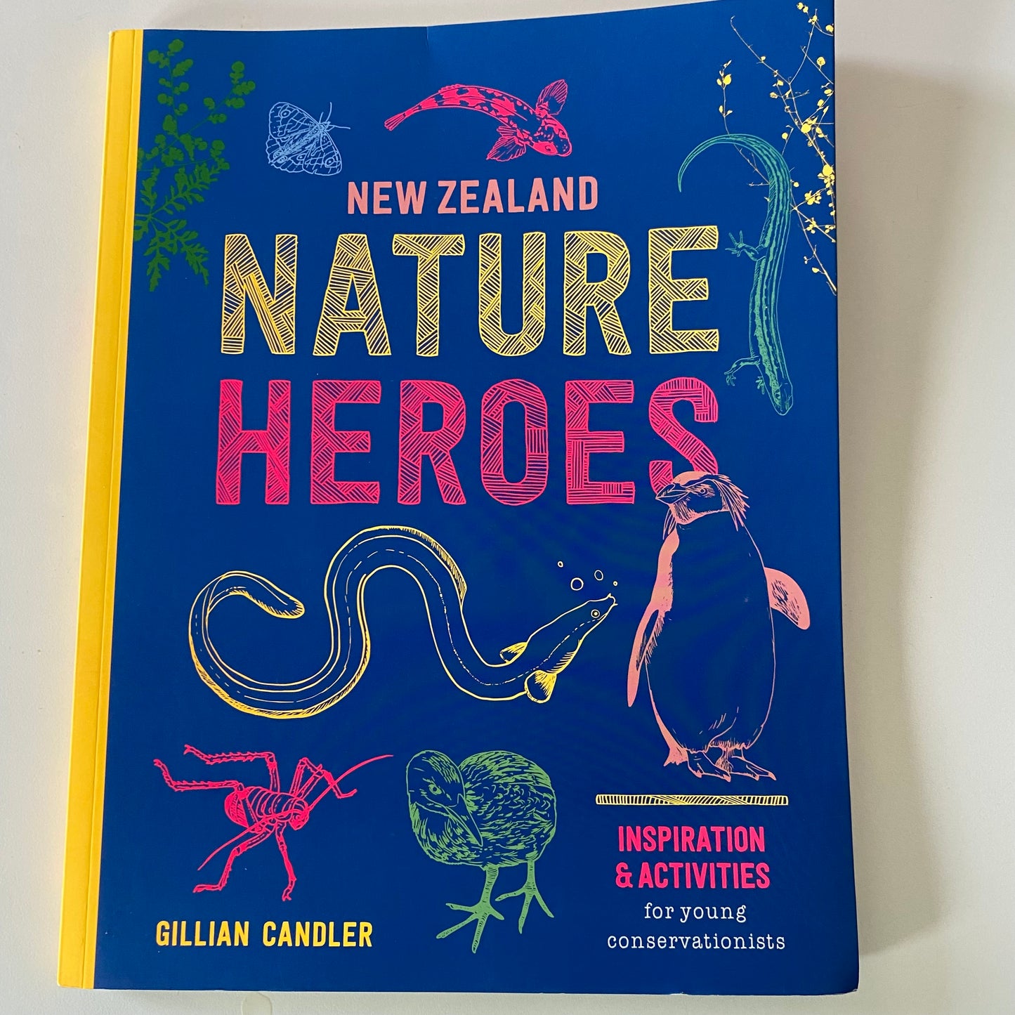 New Zealand Nature Heroes Book