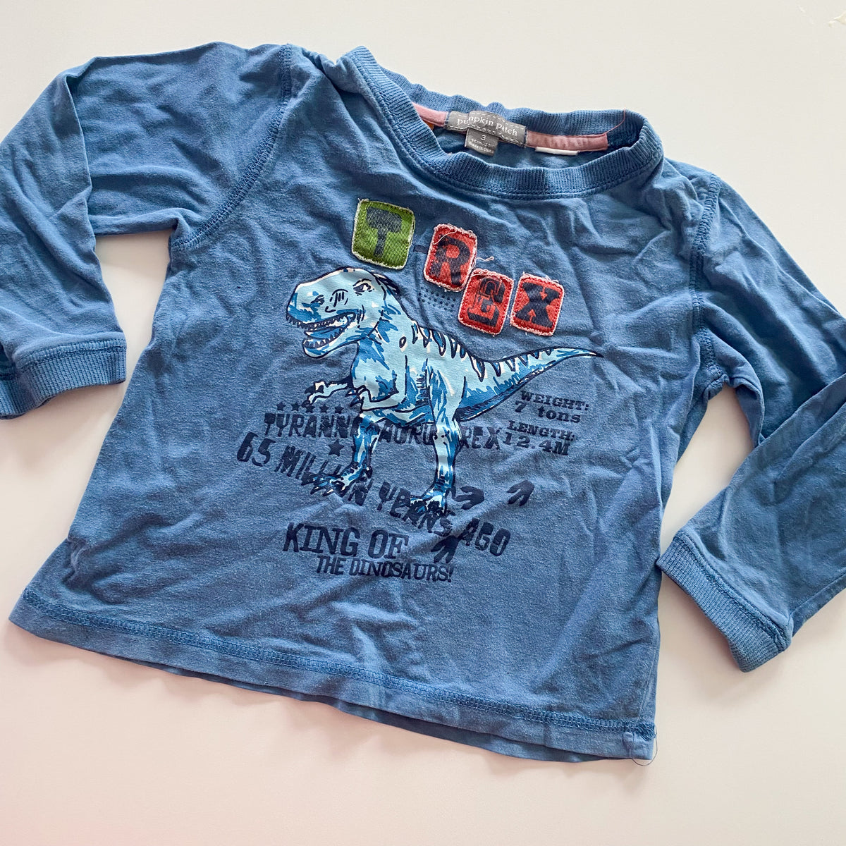 Vintage Pumpkin Patch Long Sleeve Top - Size 3