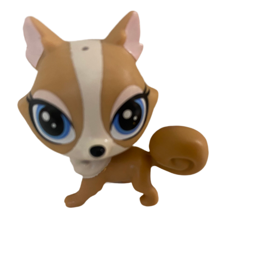 Littlest Pet Shop #248 Madame Pom LeBlanc Dog