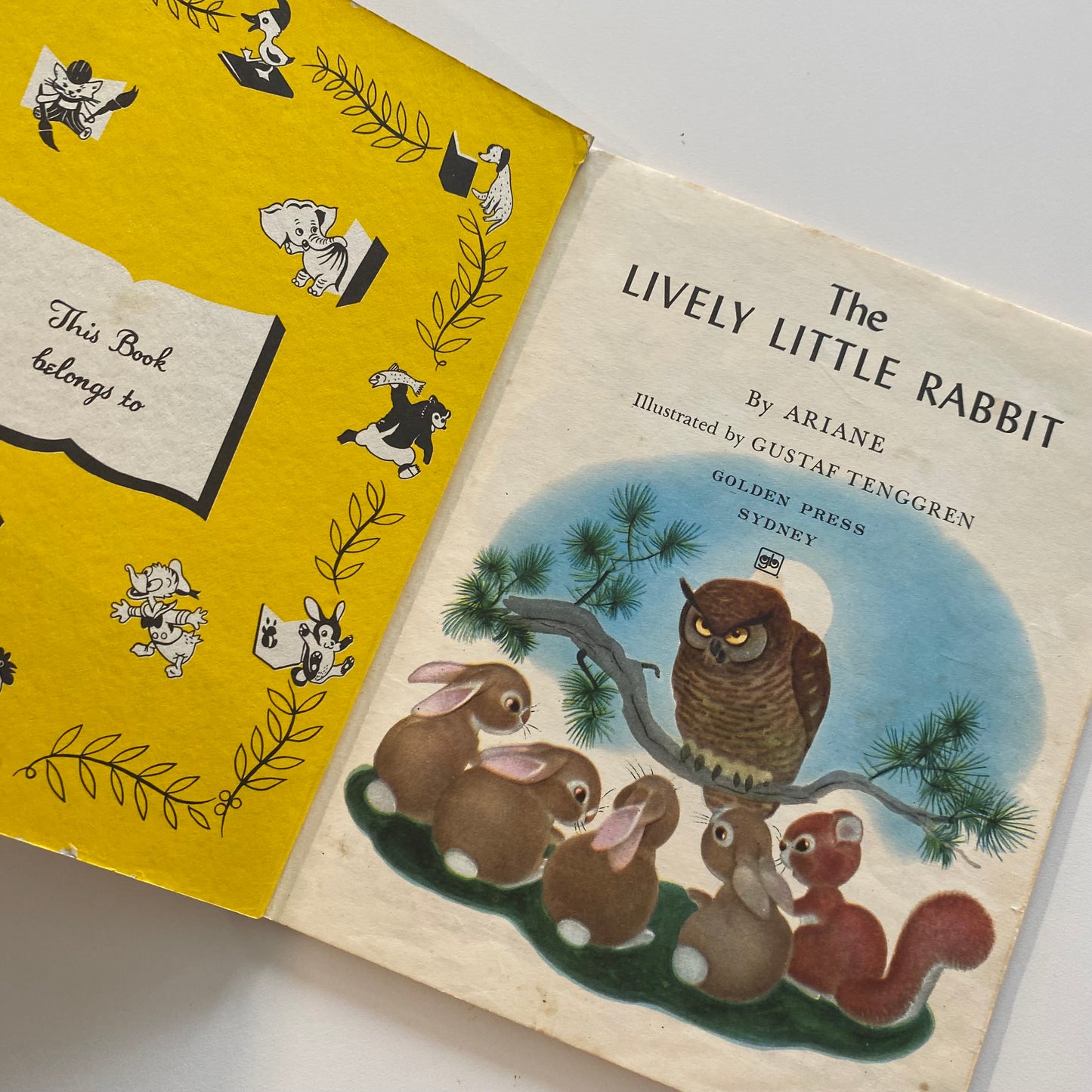 Book - Little Golden The Lively Little Rabbit