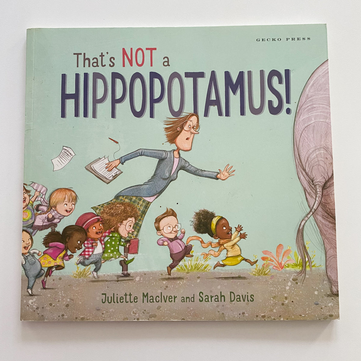 That’s Not A Hippopotamus! Book