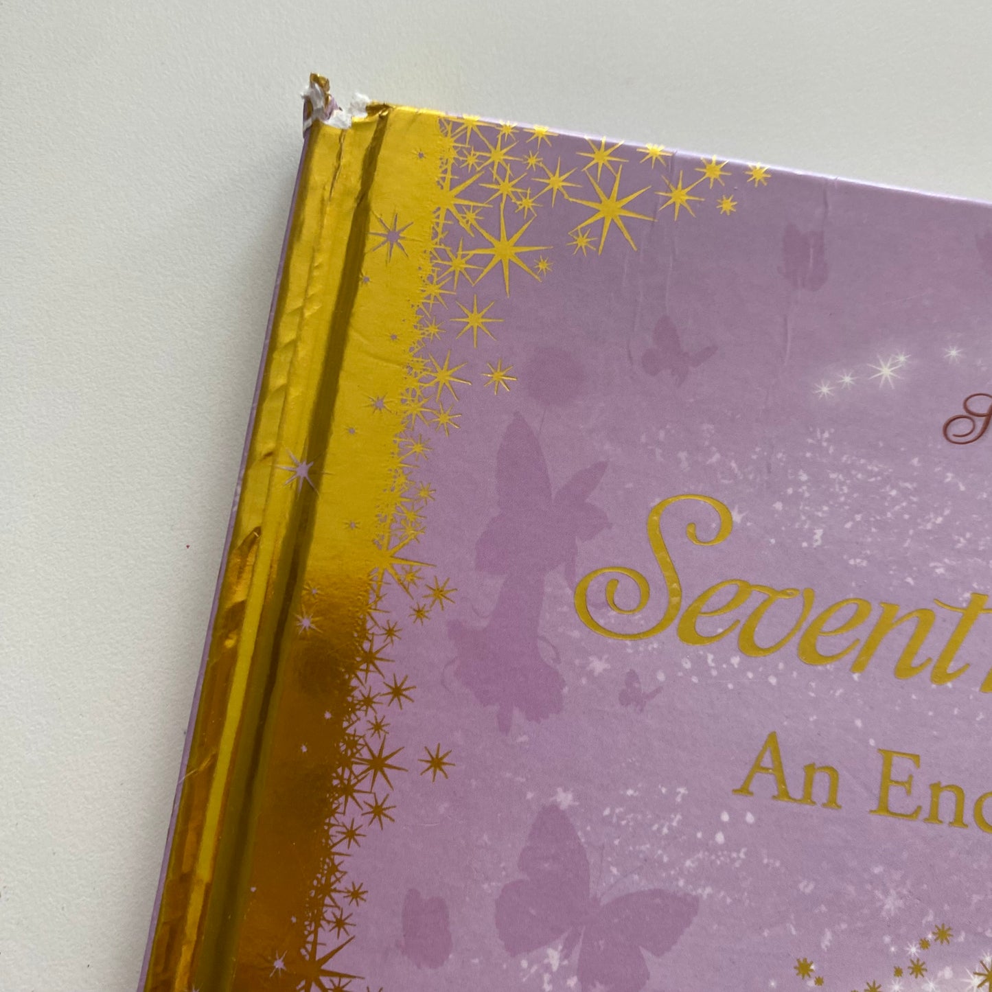 Shirley Barber The Seventh Unicorn Book