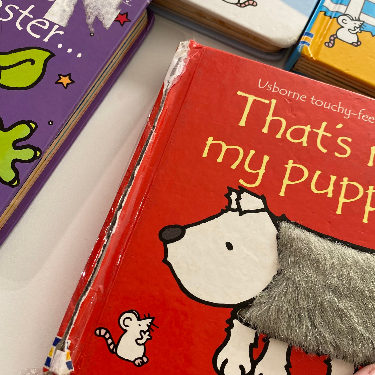 That’s Not My Book Bundle (FLAWS)