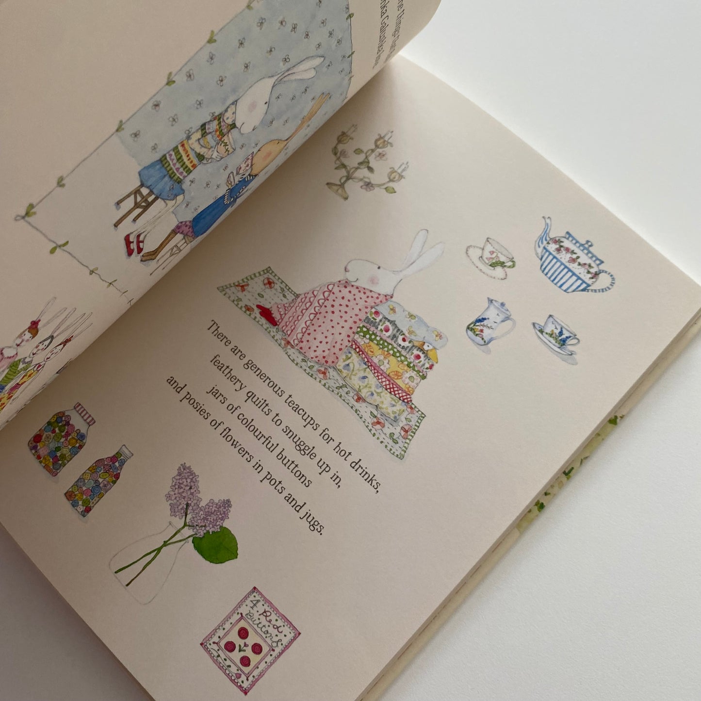 Ruby Red Shoes Book
