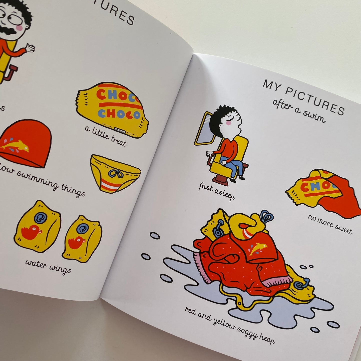 My Pictures After The Storm Book