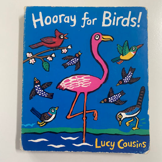 Book - Hooray For Birds!