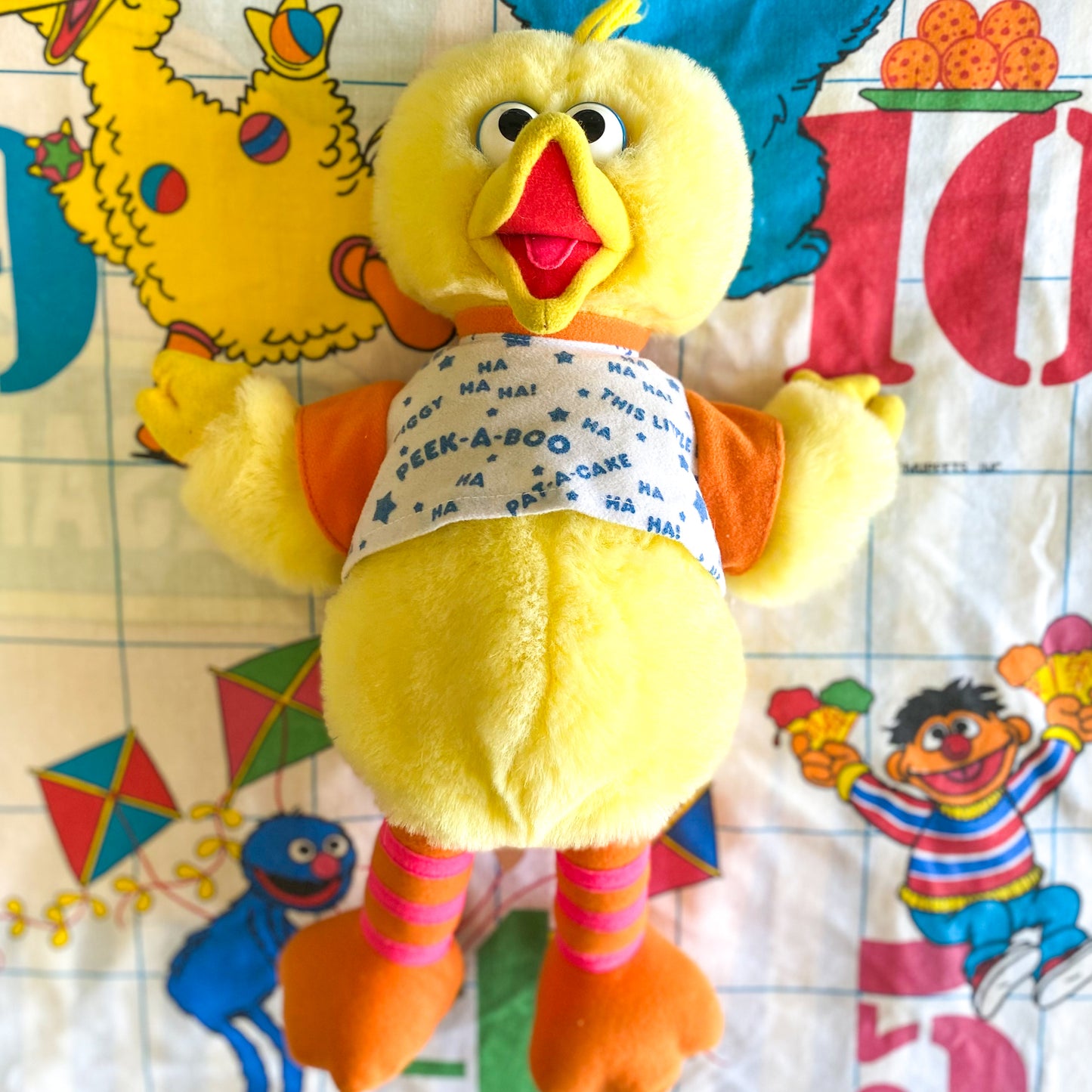 Vintage Sesame Street Interactive Peak-A-Boo Big Bird