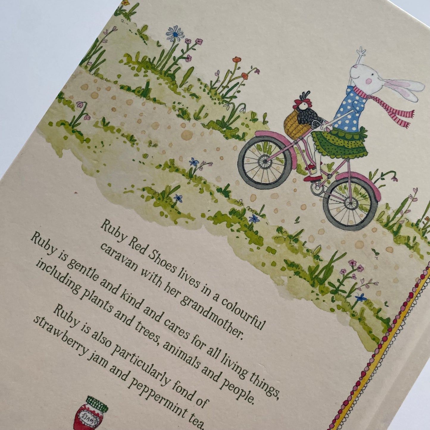 Ruby Red Shoes Book