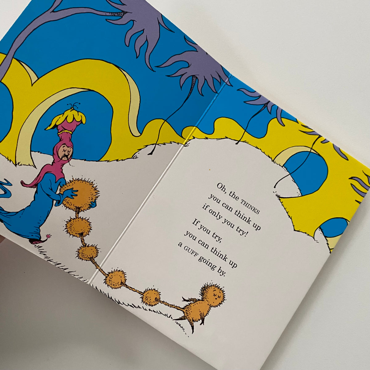 Dr Seuss Oh, The Things You Can Think? Board Book