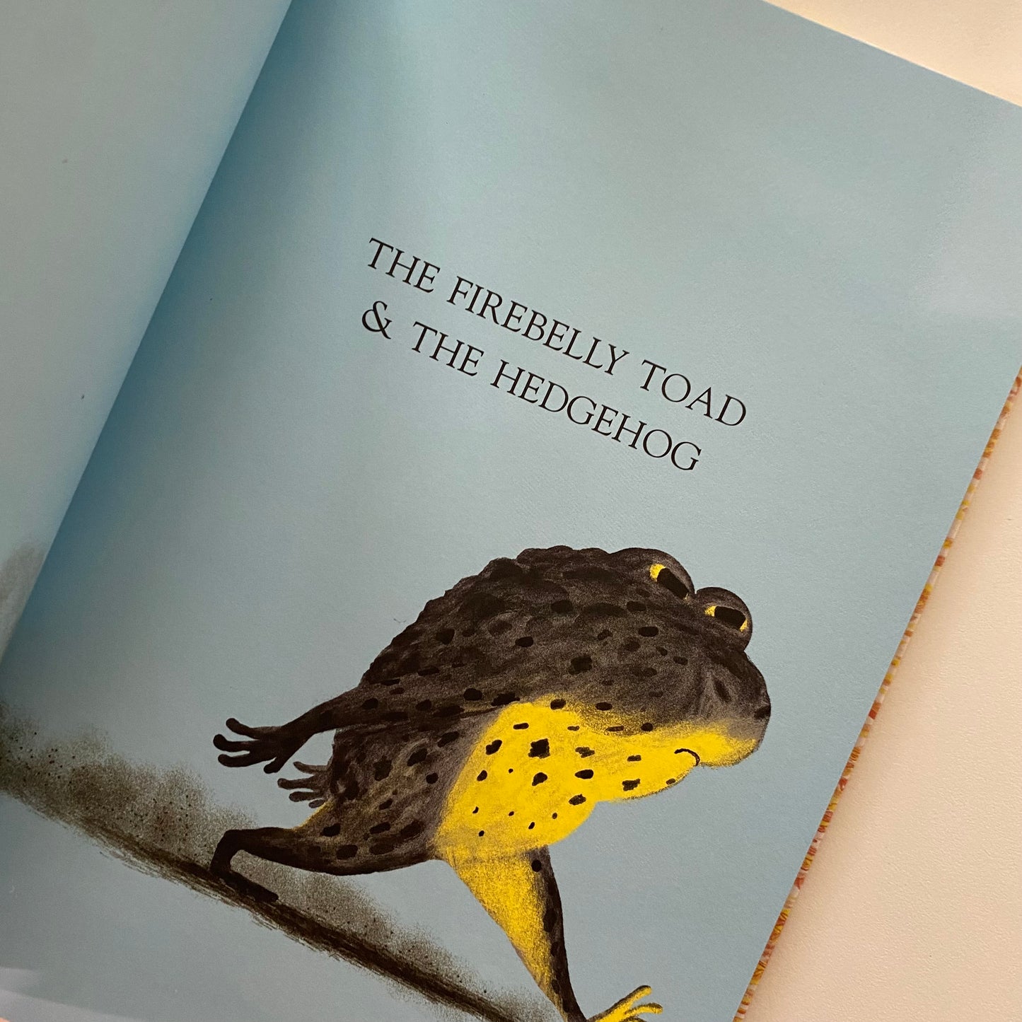 No One Is Angry Today Book