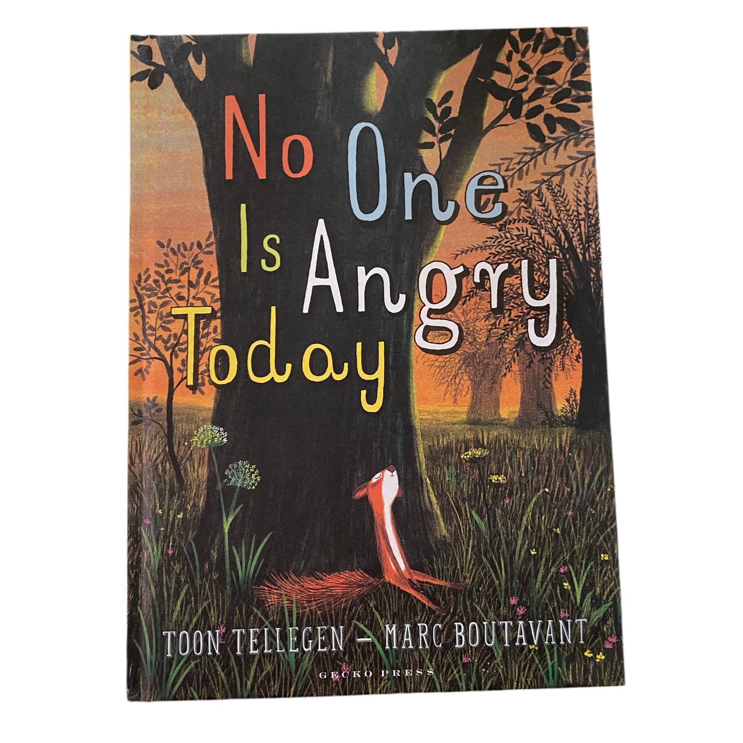No One Is Angry Today Book