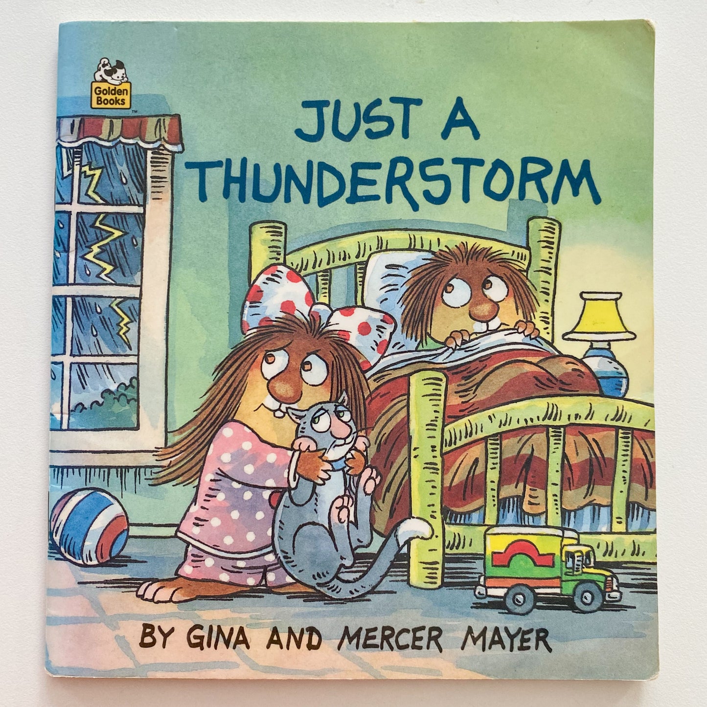 Mercer Mayer Little Critters Just A Thunder Storm Book