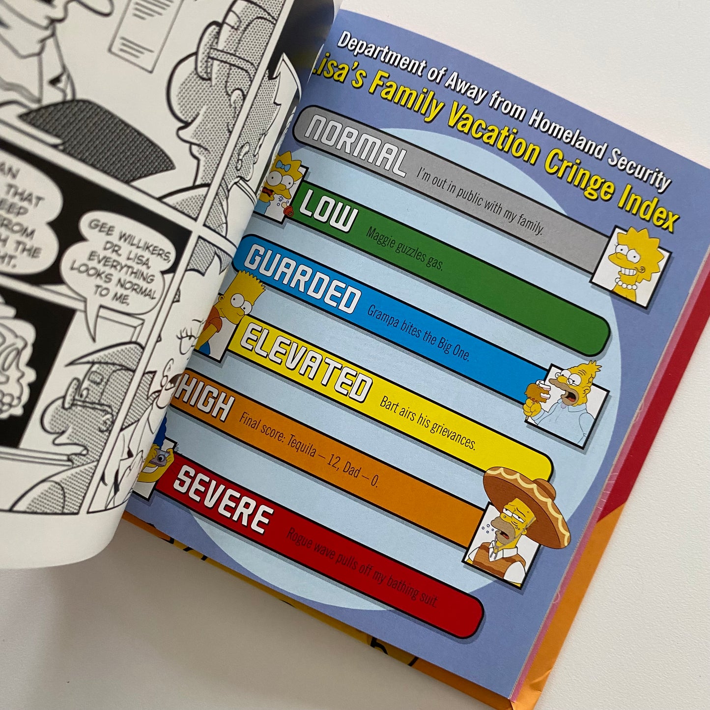 The Simpsons Lisa Book