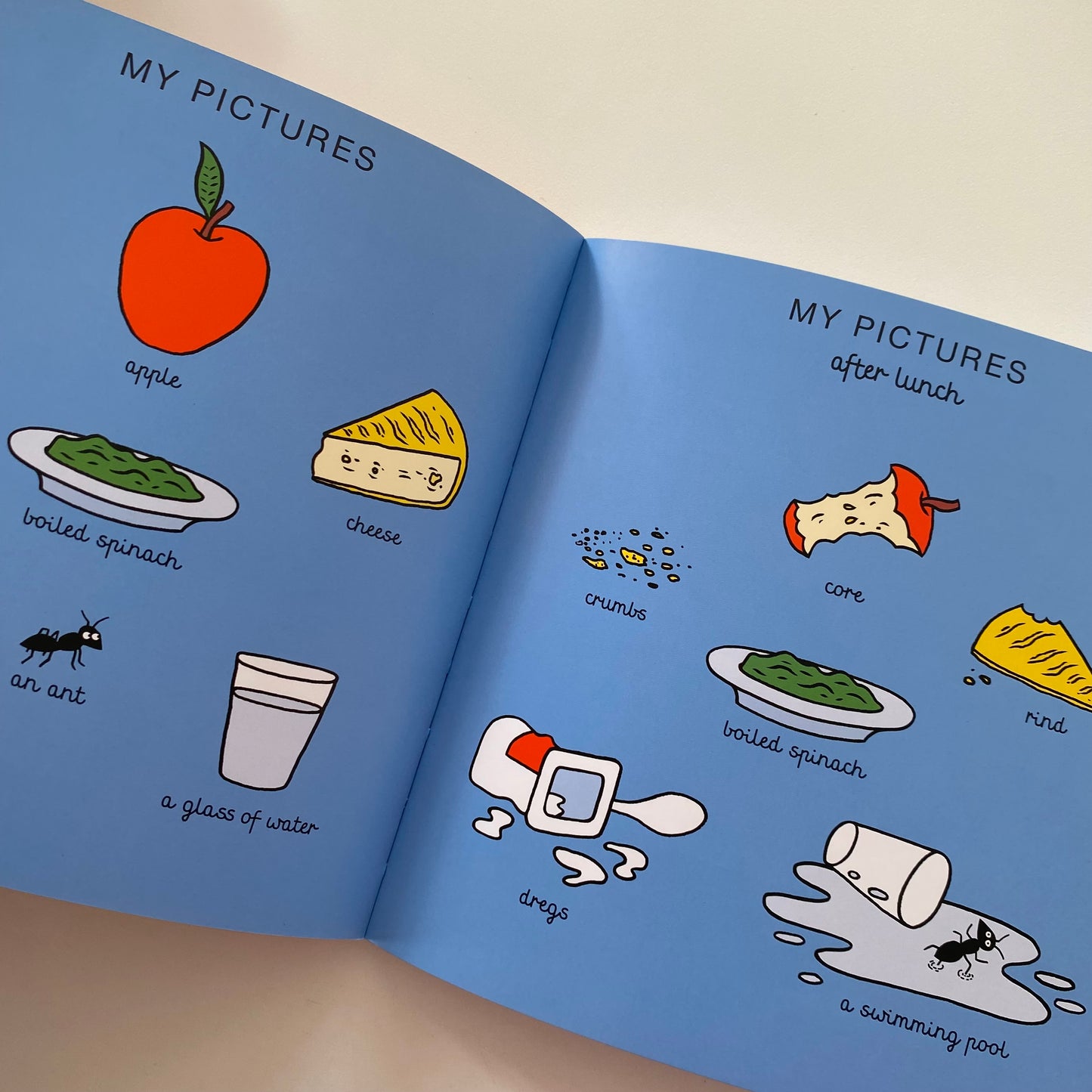 My Pictures After The Storm Book