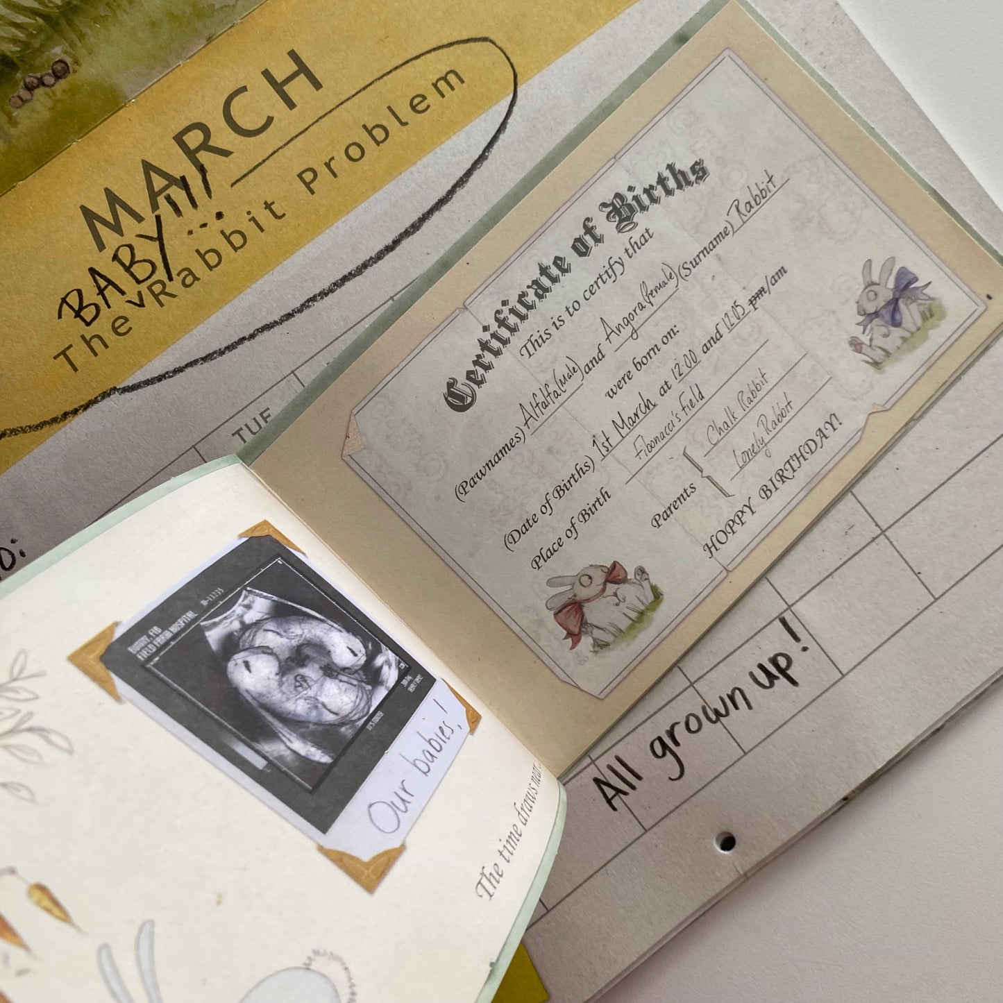 The Rabbit Problem Book