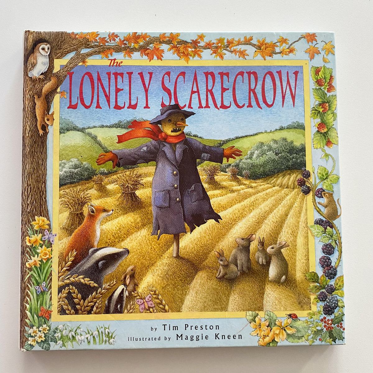 The Lonely Scarecrow Book