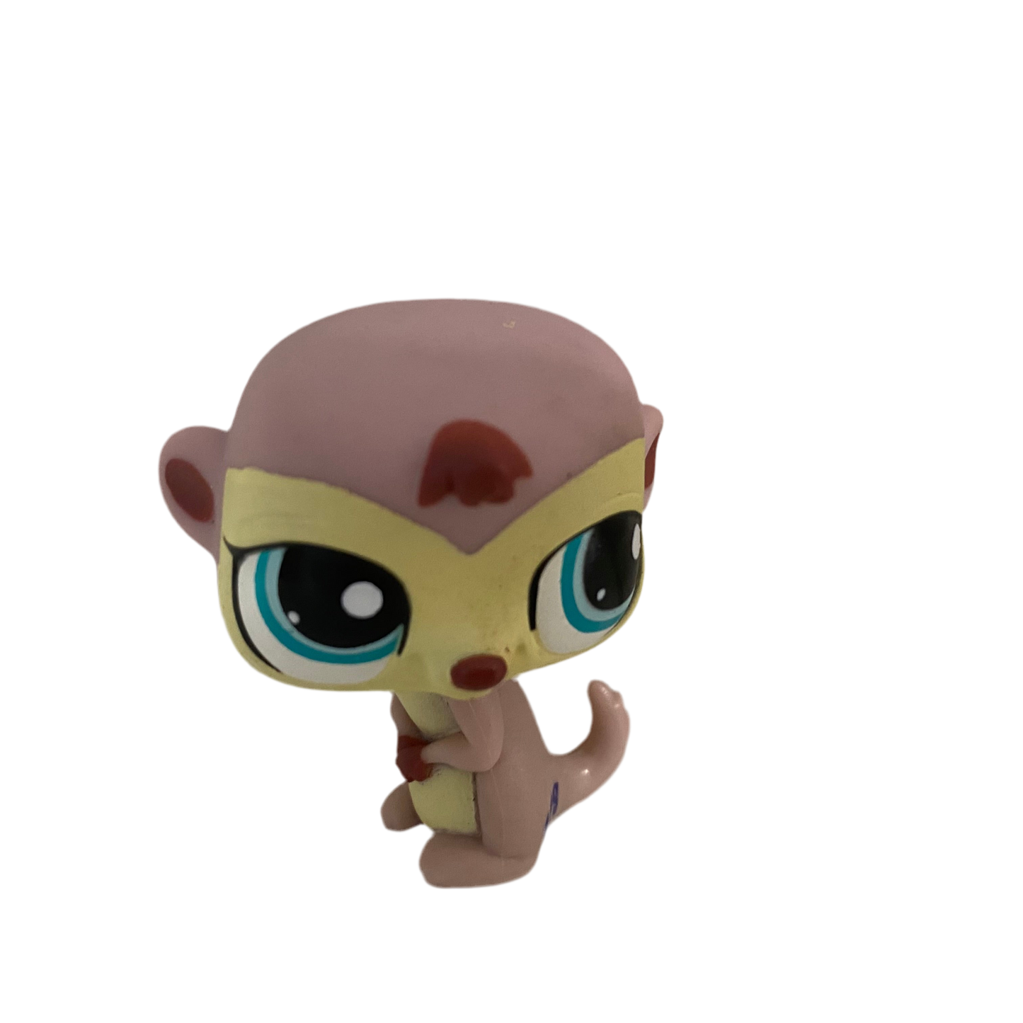 Littlest Pet Shop #1564 Meerkat