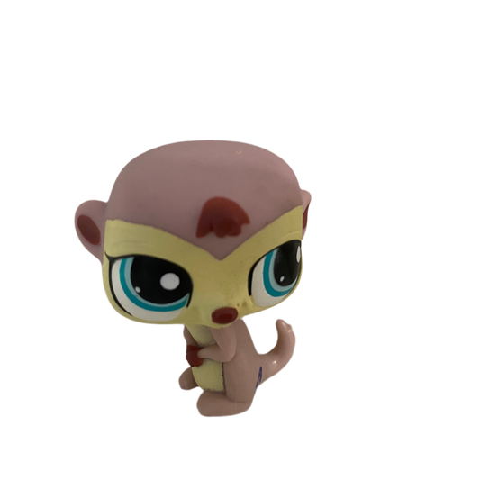 Littlest Pet Shop #1564 Meerkat
