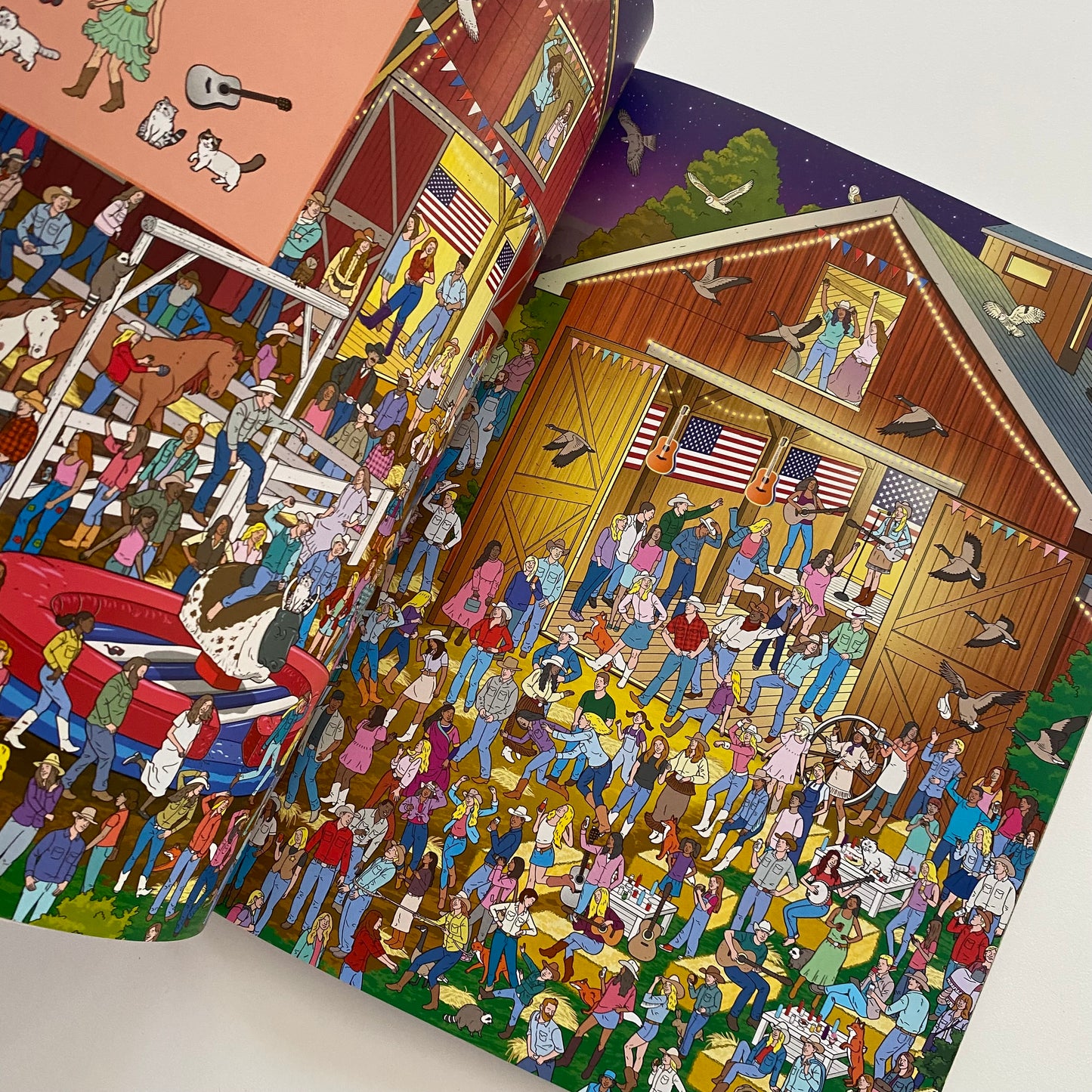 Where’s Taylor Swift? Look & Find Book