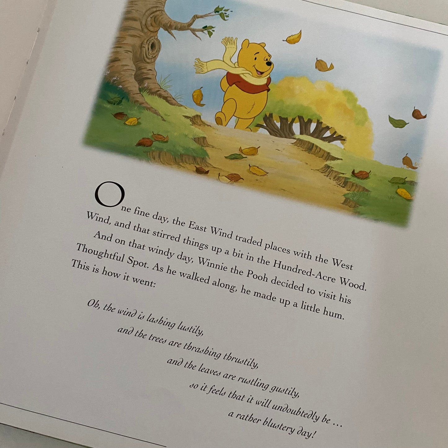 Book - Winnie The Pooh & The Blustery Day