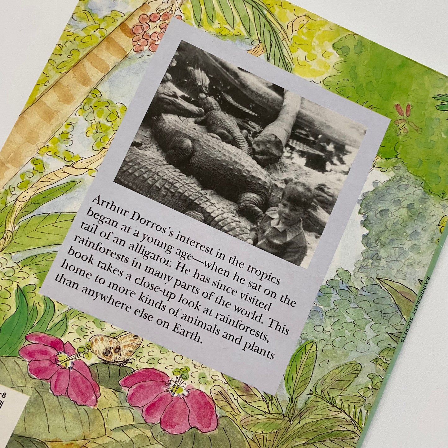 Rainforest Secrets Book