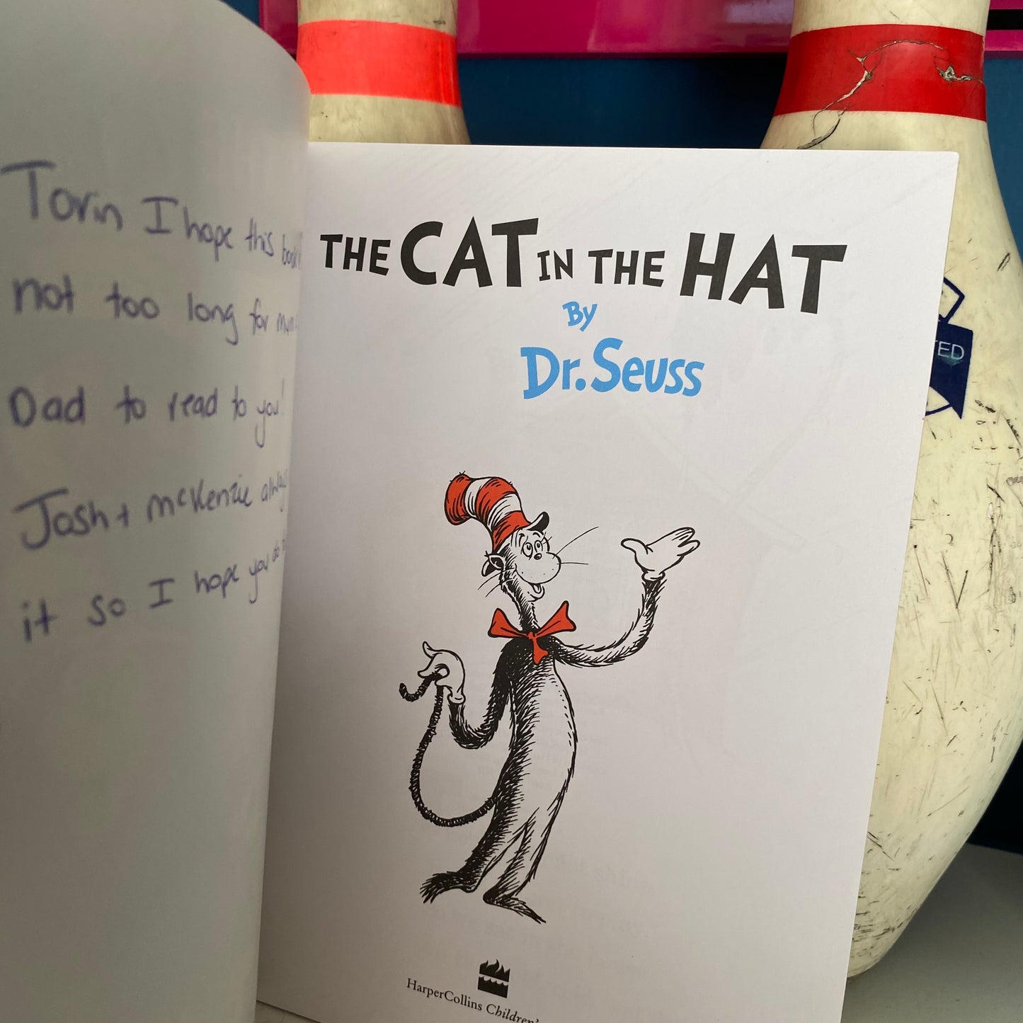 Dr Seuss The Cat In The Hat Book