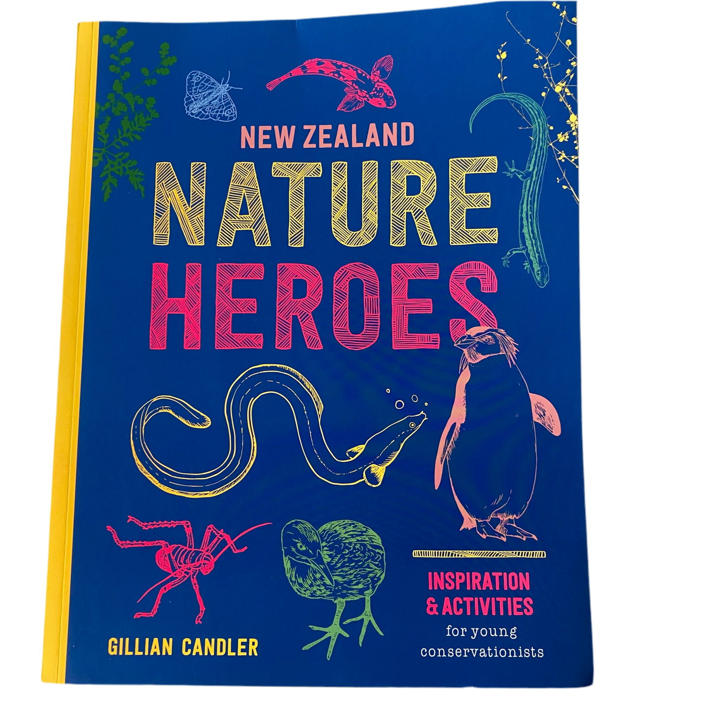 New Zealand Nature Heroes Book