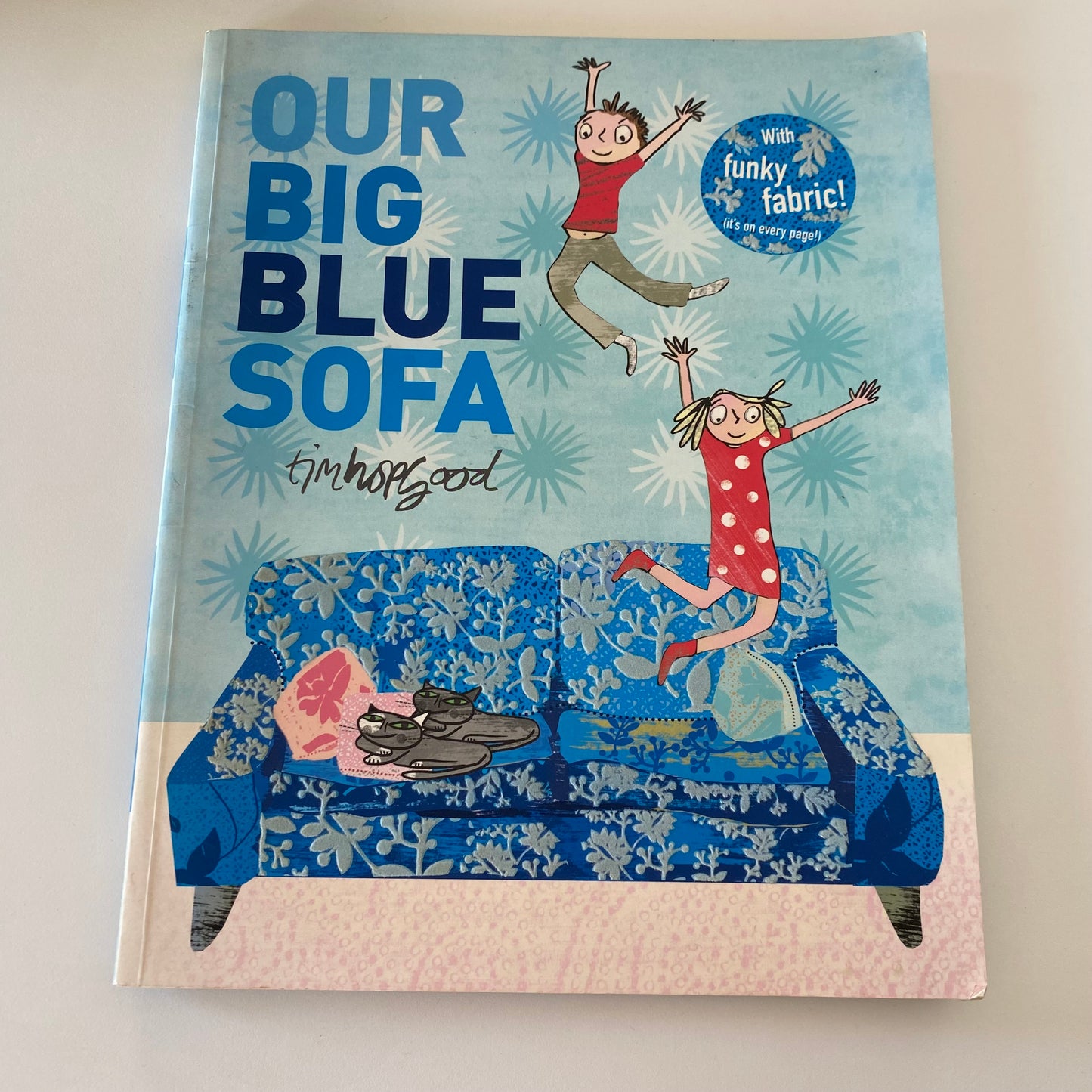 Book - Our Big Blue Sofa