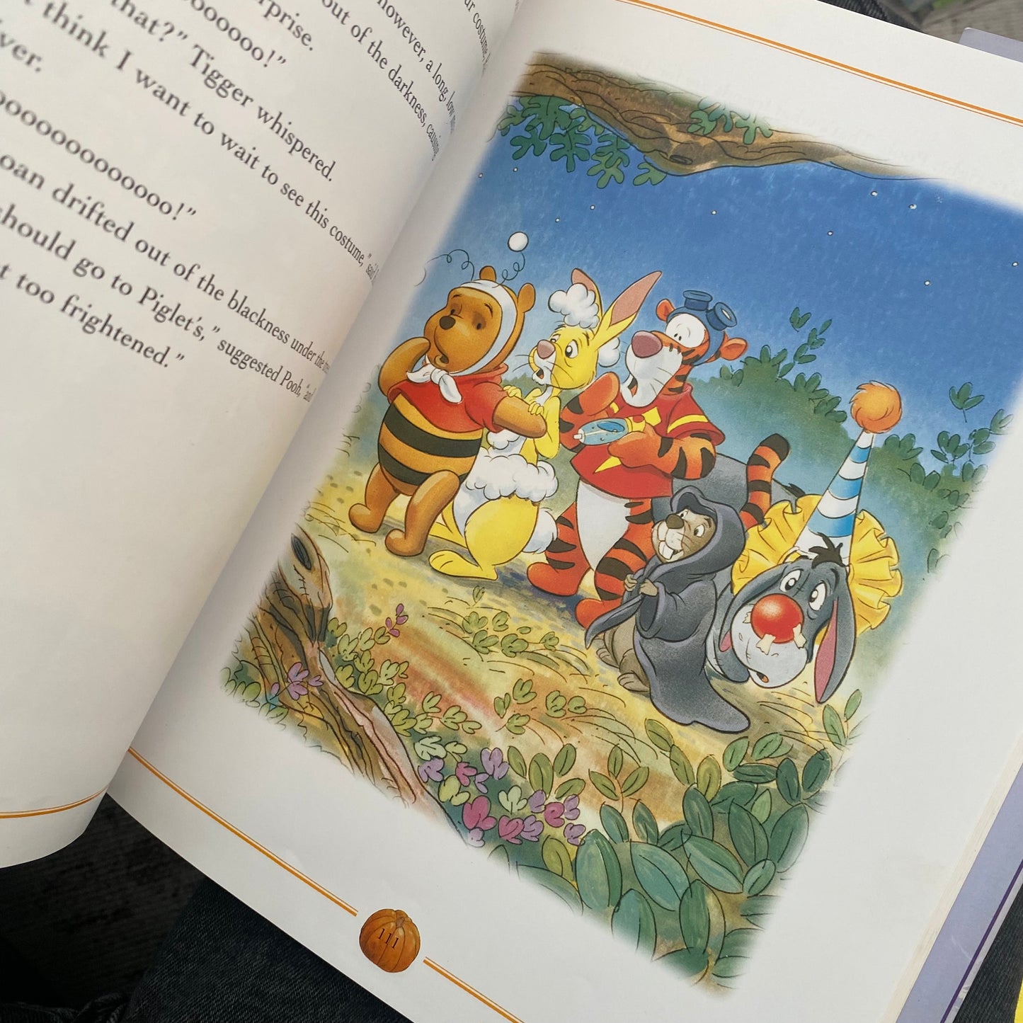 Disney Celebrate The Year With Winnie The Pooh Book