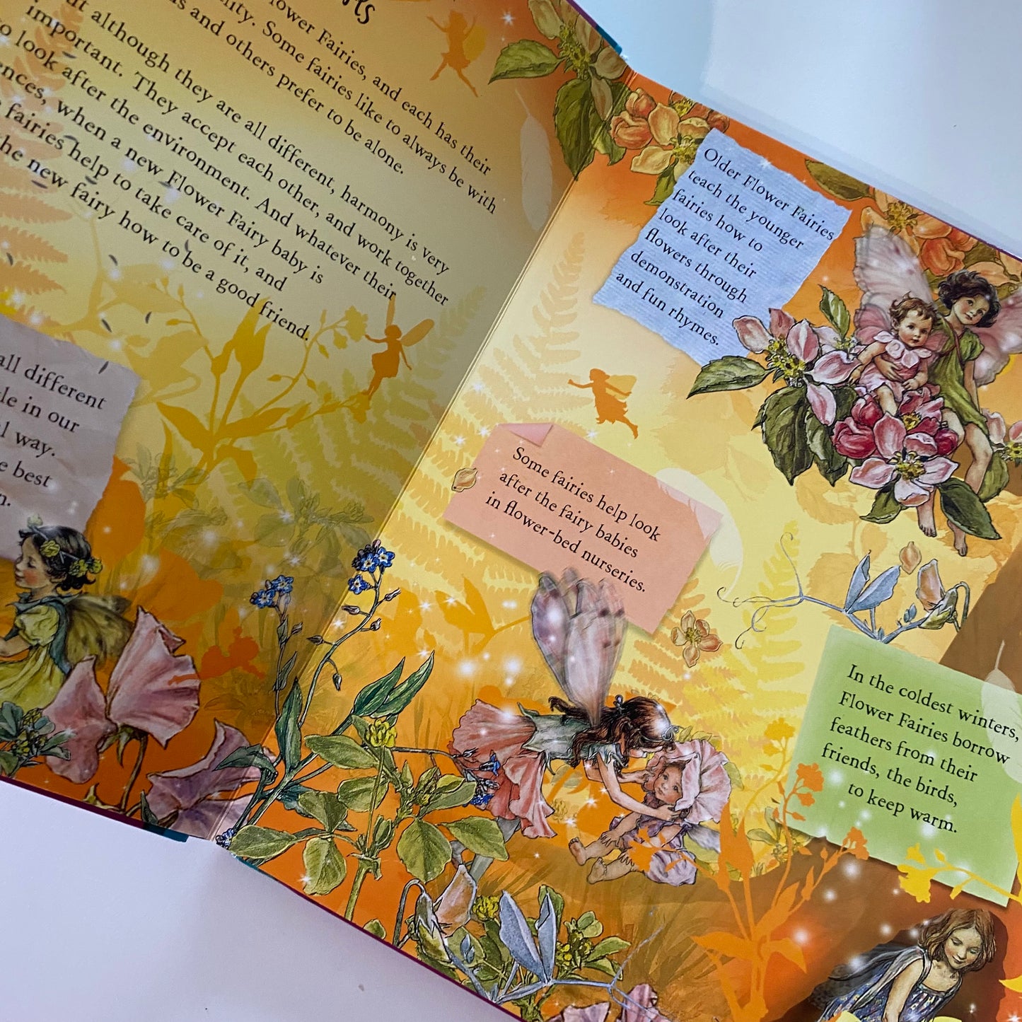 Flower Fairies Sparkle Like A Flower Fairy Book