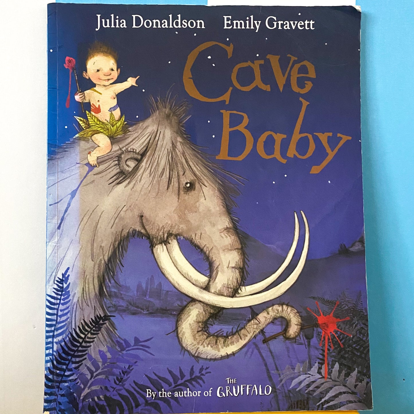 Julia Donaldson Cave Baby Book