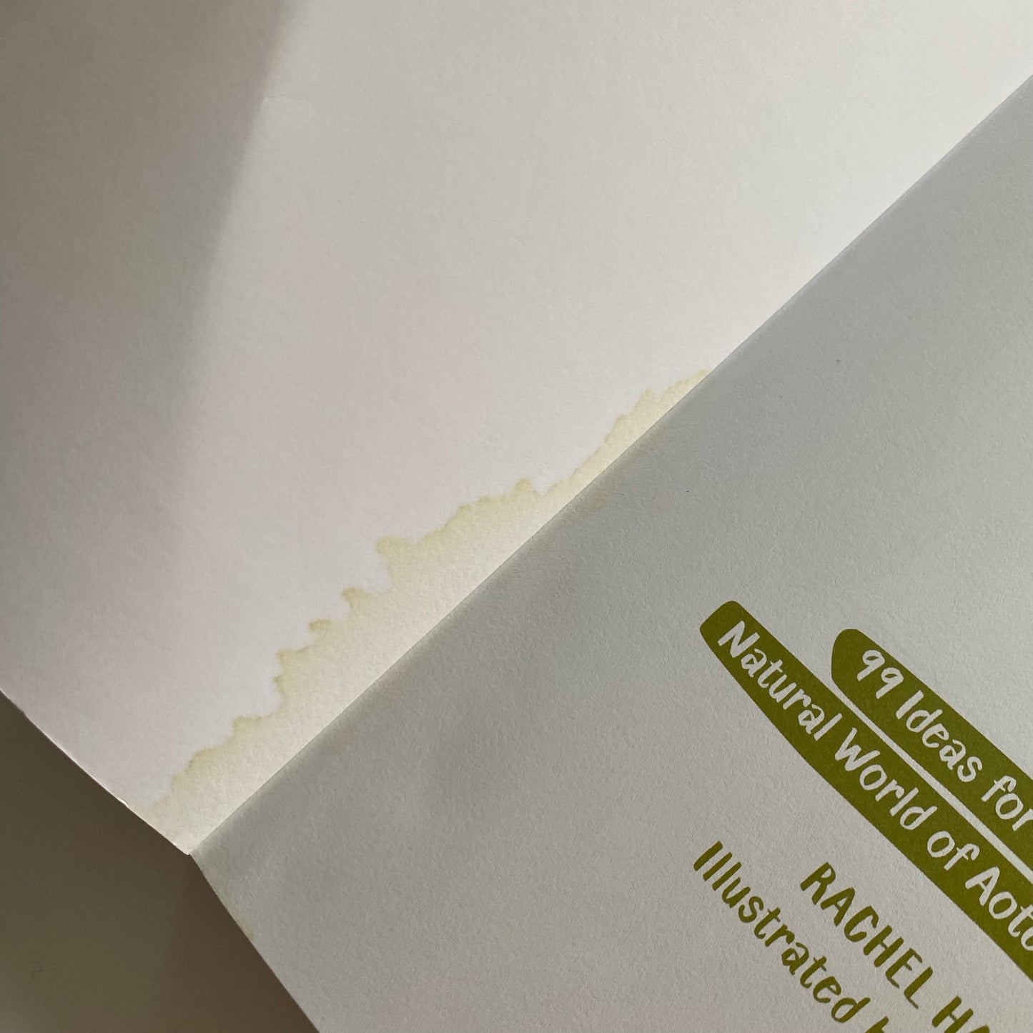 The Nature Activity Book