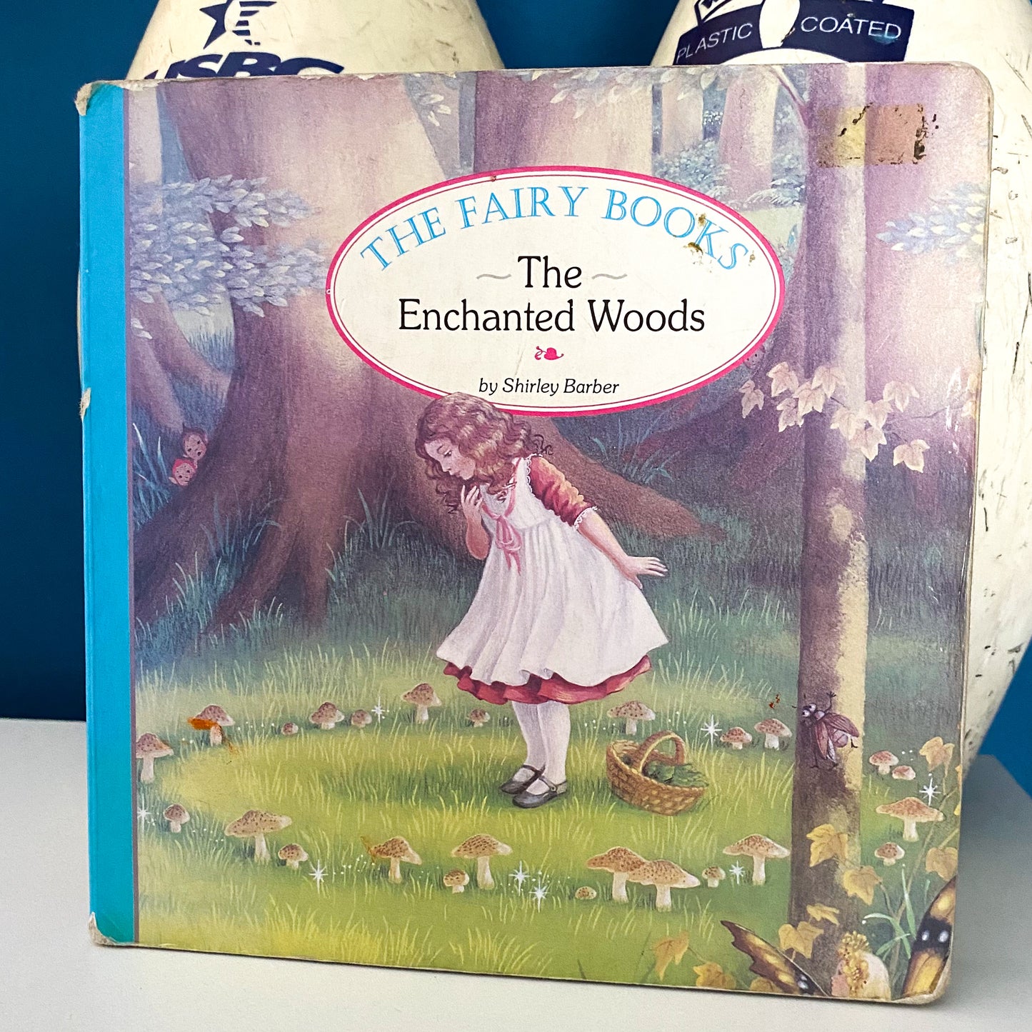 Shirley Barber The Enchanted Woods Board Book