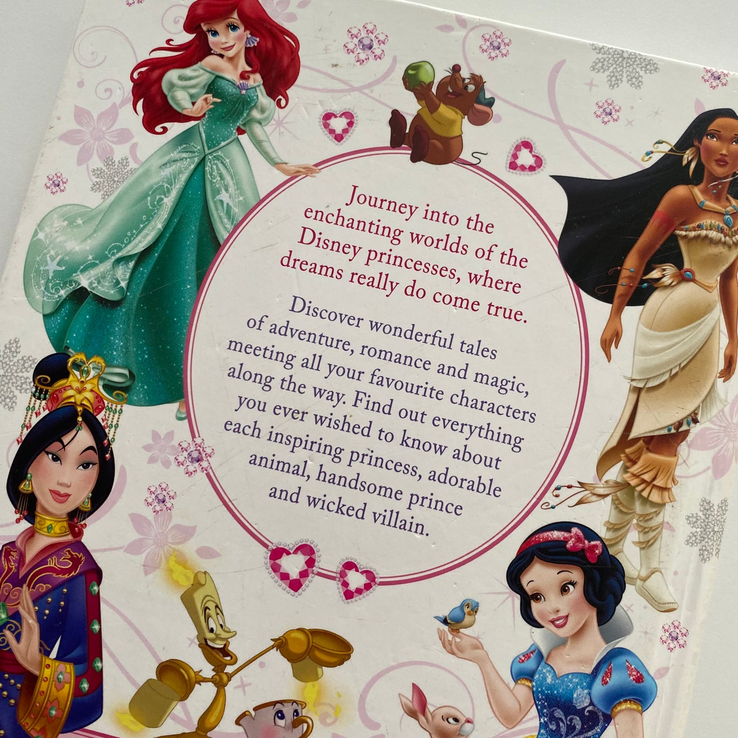 DK Disney Princess Enchanted Character Guide Book