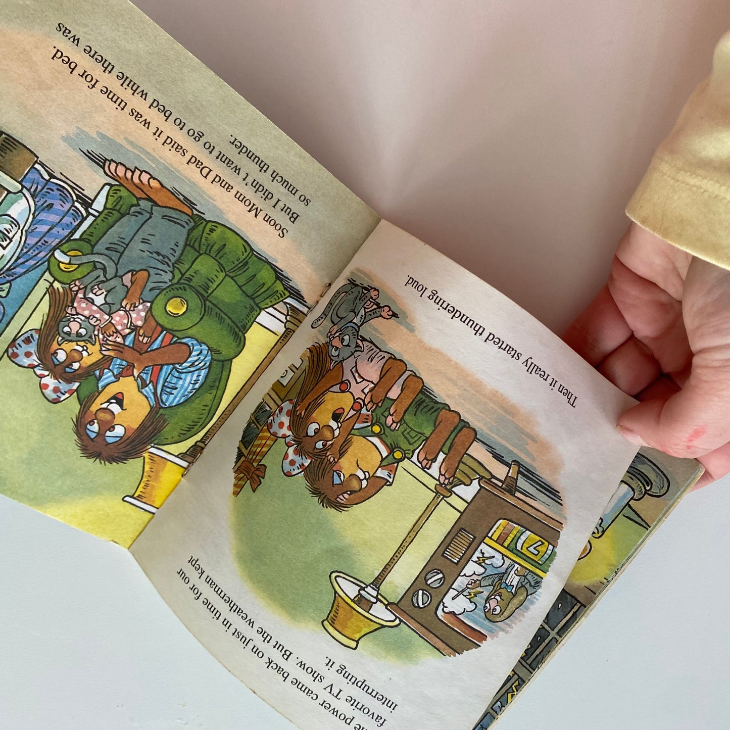 Mercer Mayer Little Critters Just A Thunder Storm Book