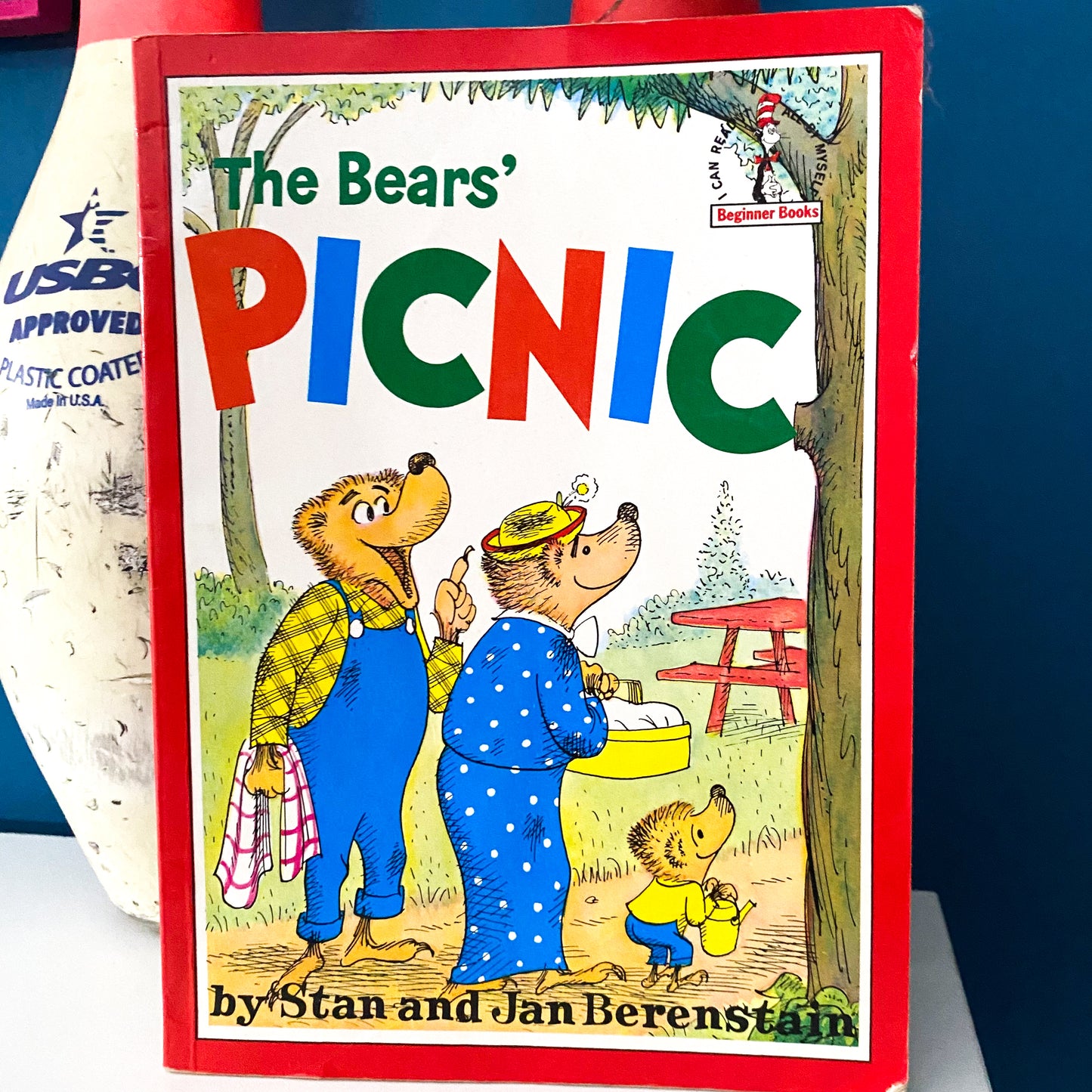 Vintage Dr Seuss The Bears Picnic Book