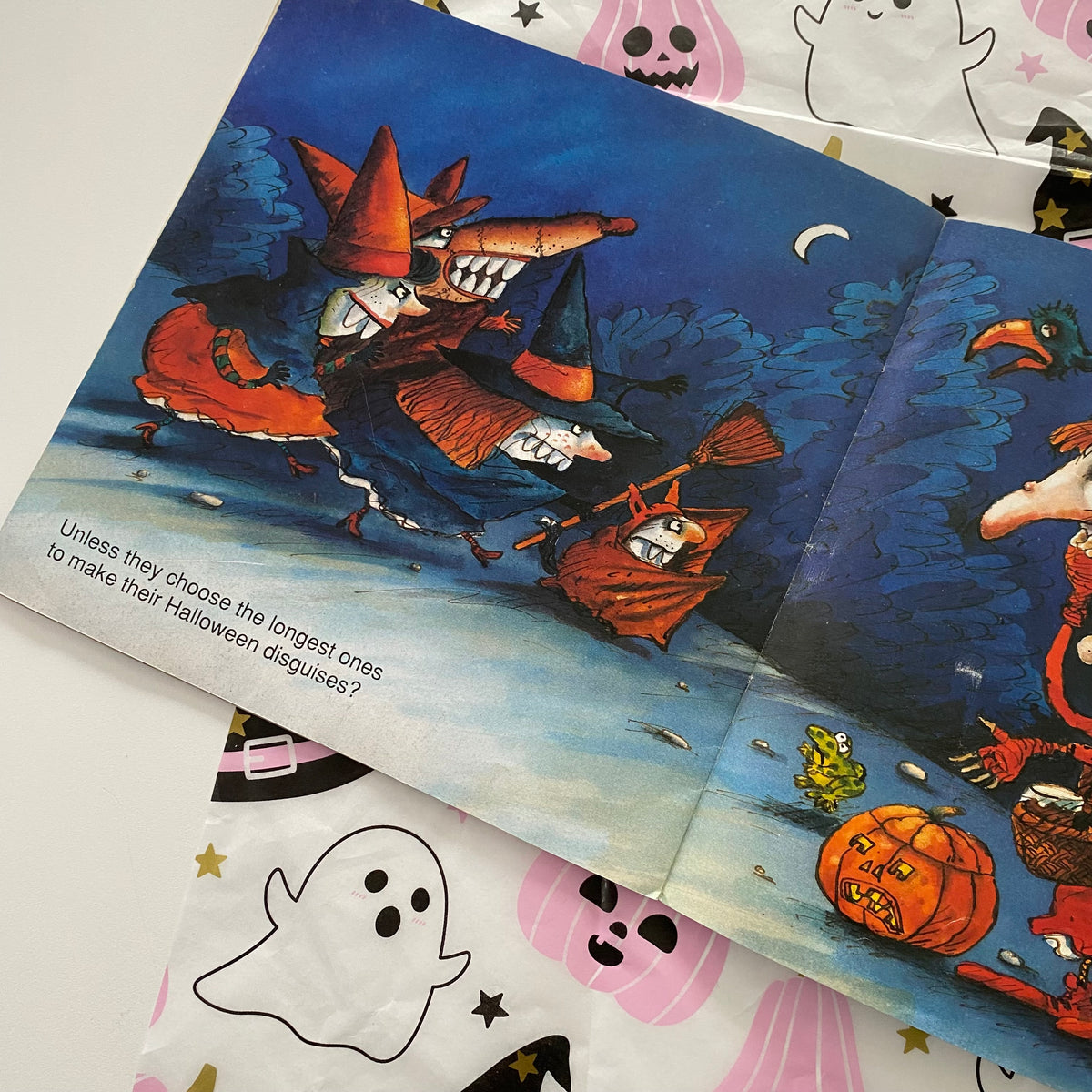 What Do The Fairies Do With All Those Teeth? Book