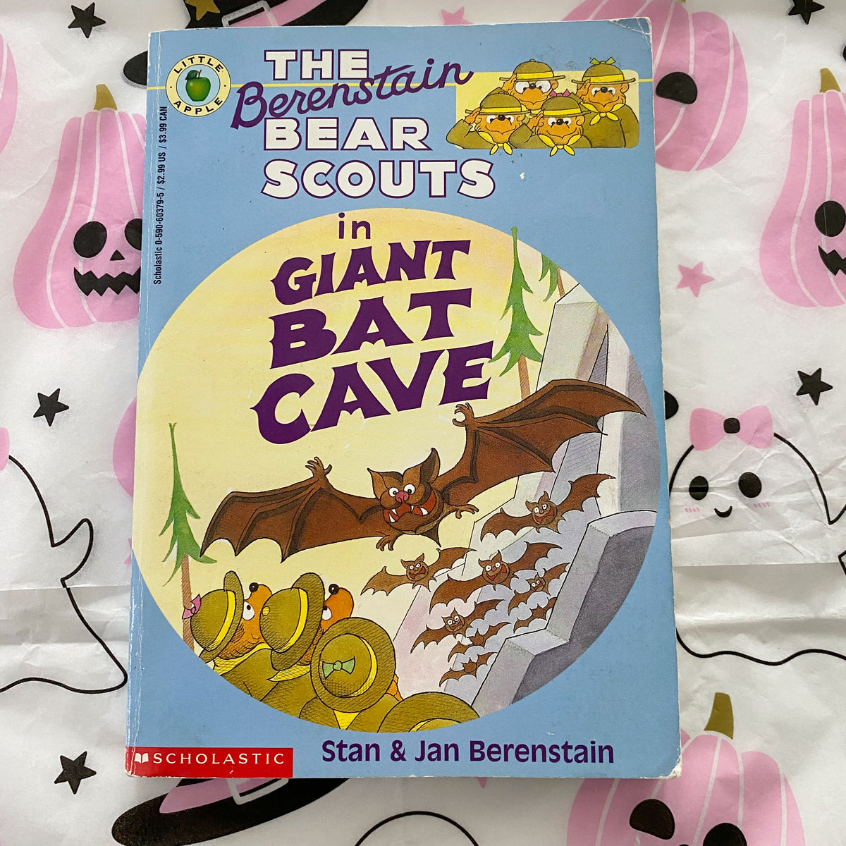 The Berenstain Bear Scouts In Giant Bat Cave Chapter Book
