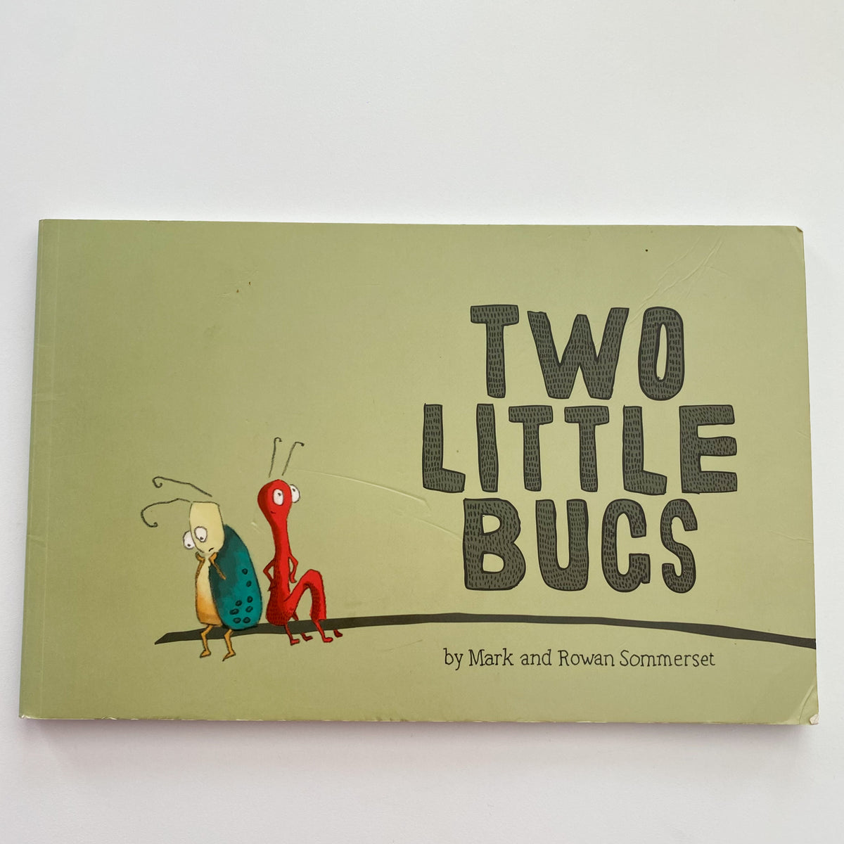 Two Little Bugs Book