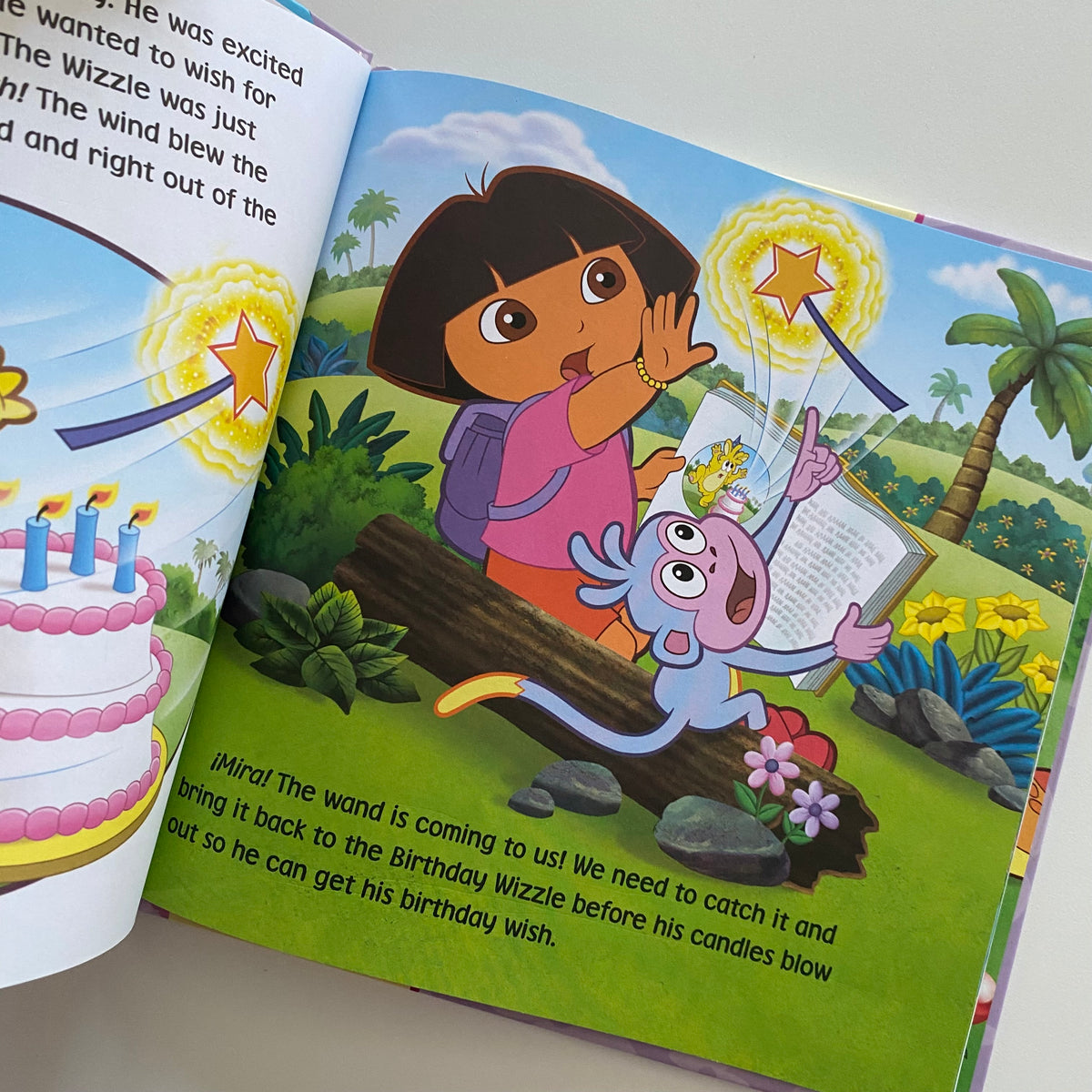 Dora The Explorer Birthday Wish Adventure Book